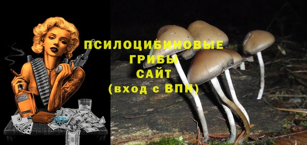 мяу мяу мука Алзамай