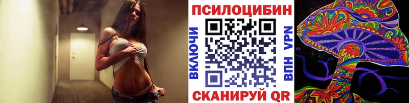 Купить закладки  Иноземцево  Галлюциногенные грибы мицелий 
